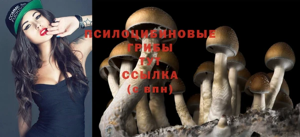 а пвп мука Бугульма