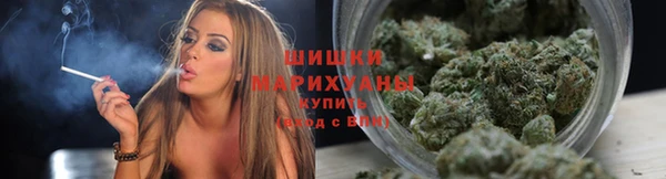 круглые Бородино