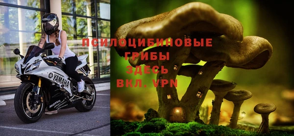 а пвп мука Бугульма
